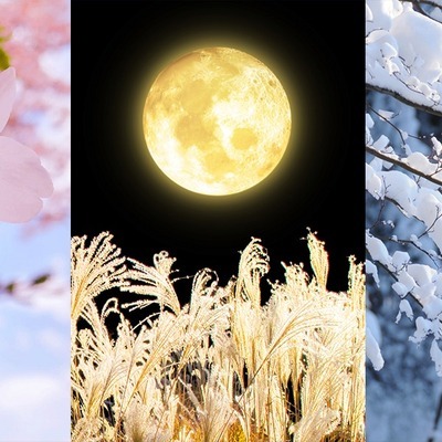 雪月花 ハングル教室のロゴ