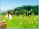 株式会社Miraieのロゴ