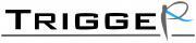 ビジネスコンテストTRIGGER2015のロゴ