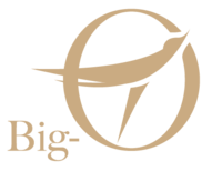 Big-O Information Intelligence Corp.のロゴ