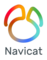 PremiumSoft CyberTech Ltd.のロゴ