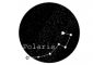 Polarisのロゴ