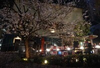 株式会社グローバルダイニングのプレスリリース