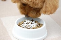 株式会社帝塚山ハウンドカムのプレスリリース画像2