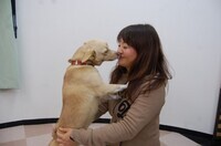 株式会社帝塚山ハウンドカムのプレスリリース画像3