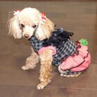 フューチャーインダストリーズ株式会社のプレスリリース画像5