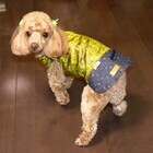 フューチャーインダストリーズ株式会社のプレスリリース画像8