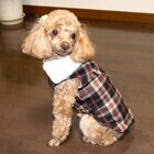 フューチャーインダストリーズ株式会社のプレスリリース画像1