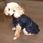 フューチャーインダストリーズ株式会社のプレスリリース画像3