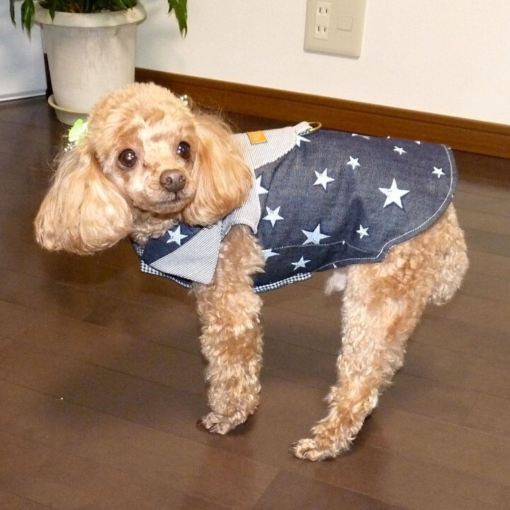 フューチャーインダストリーズ株式会社のプレスリリース画像7