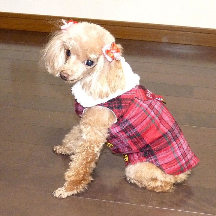 フューチャーインダストリーズ株式会社のプレスリリース画像2