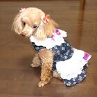 フューチャーインダストリーズ株式会社のプレスリリース画像4