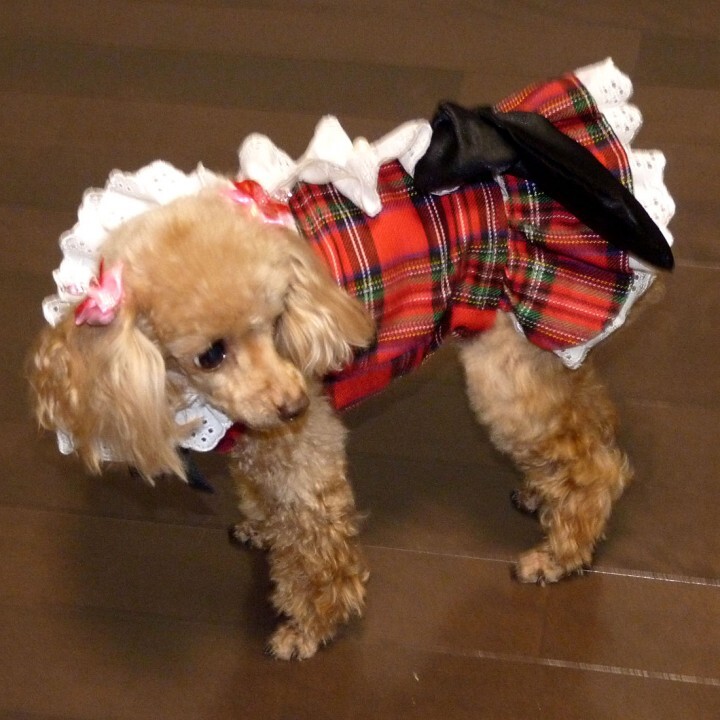 フューチャーインダストリーズ株式会社のプレスリリース画像6