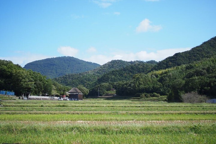 風が吹いてきたよ実行委員会のプレスリリース画像5