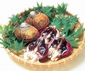 舞鶴市のプレスリリース画像1