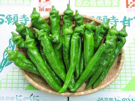 舞鶴市のプレスリリース画像1