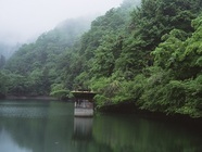 舞鶴市のプレスリリース画像7