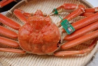 舞鶴市のプレスリリース画像4