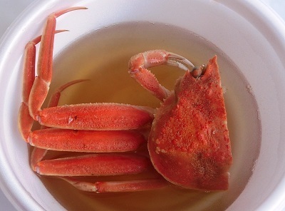 舞鶴市のプレスリリース画像1