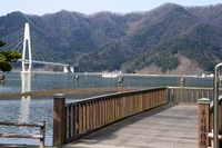 舞鶴市のプレスリリース画像3