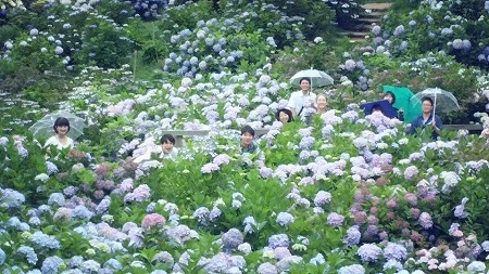 舞鶴市のプレスリリース画像4