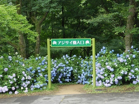 舞鶴市のプレスリリース画像2