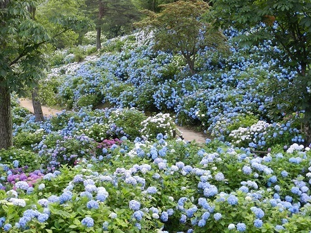 舞鶴市のプレスリリース画像6