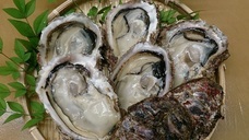 舞鶴市のプレスリリース画像2