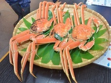 舞鶴市のプレスリリース画像1