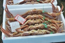 舞鶴市のプレスリリース画像4