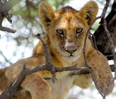 株式会社Bridgearthのプレスリリース画像2