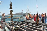 広田湾遊漁船組合(広田湾漁業協同組合所属)のプレスリリース画像3