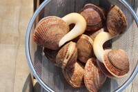 広田湾遊漁船組合(広田湾漁業協同組合所属)のプレスリリース