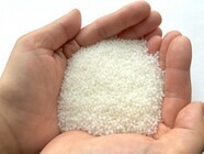 菊水酒造株式会社のプレスリリース画像2