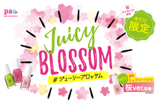 株式会社 Dear Lauraのプレスリリース画像1