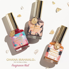 株式会社 Dear Lauraのプレスリリース画像3