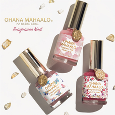 株式会社 Dear Lauraのプレスリリース画像2