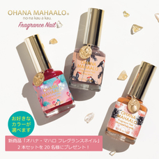 株式会社 Dear Lauraのプレスリリース画像2