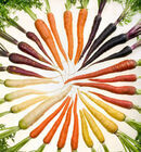 マルシェ青空のプレスリリース画像1