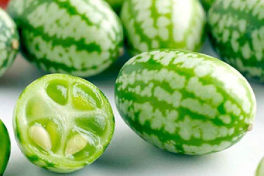 マルシェ青空のプレスリリース画像1