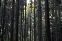 株式会社イグジットフィルムのプレスリリース画像3