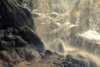 株式会社イグジットフィルムのプレスリリース画像7