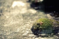 株式会社イグジットフィルムのプレスリリース画像6