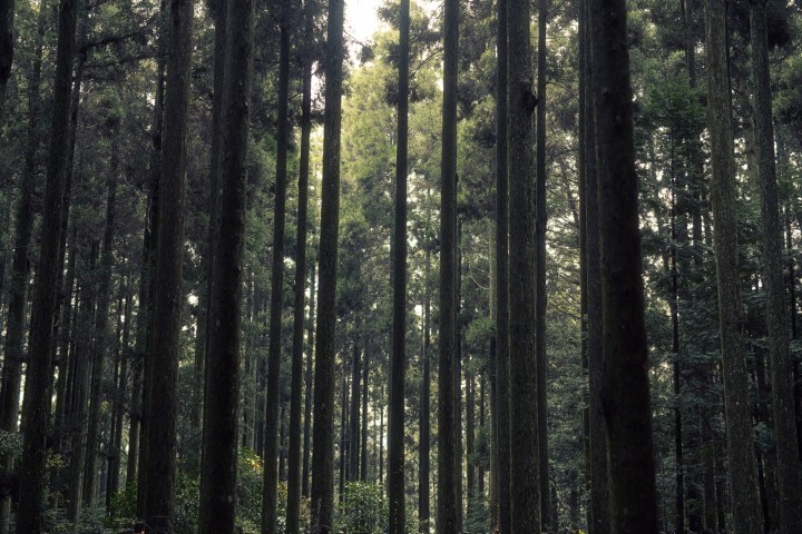 株式会社イグジットフィルムのプレスリリース画像9