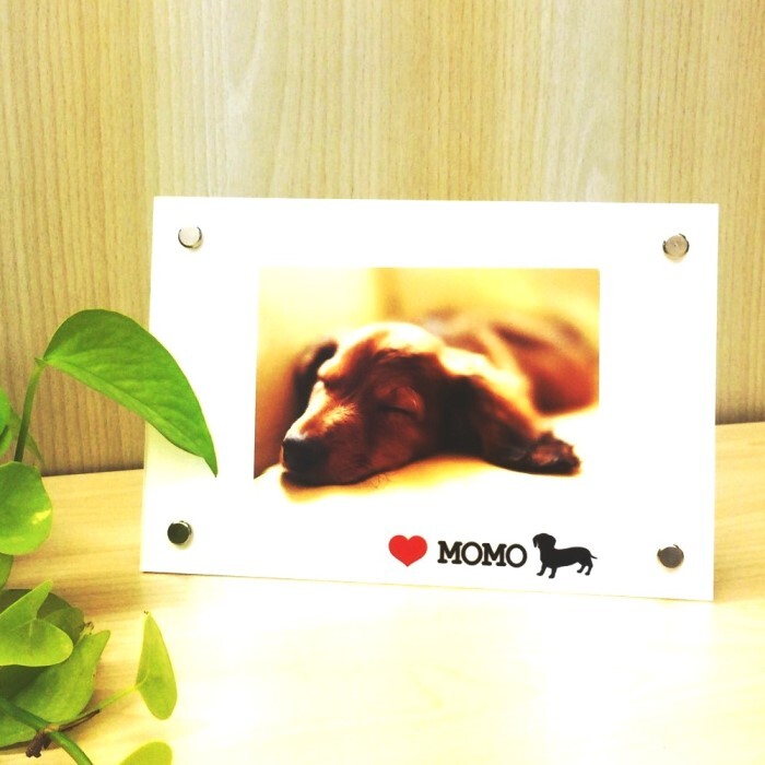 OTAS株式会社のプレスリリース画像1