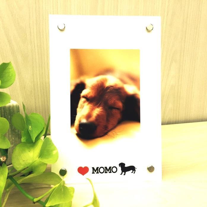 OTAS株式会社のプレスリリース画像2