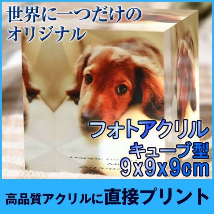 OTAS株式会社のプレスリリース画像1