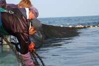 株式会社コンシスのプレスリリース画像2