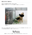 株式会社LCLのプレスリリース画像3