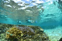 株式会社ユニマットプレシャス　リゾート事業のプレスリリース画像4